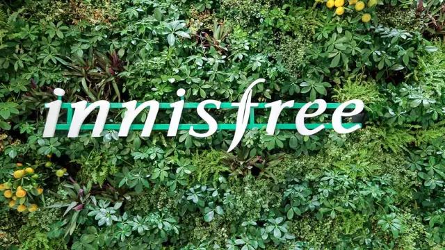 悦诗风吟Innisfree护肤品怎么样-悦诗风吟Innisfree化妆品