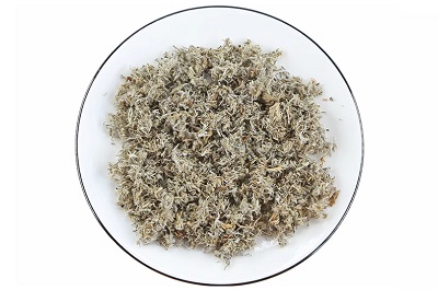 茵陈十大害处 茵陈的副作用