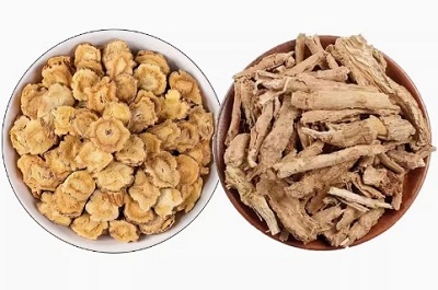 秦艽地骨皮汤的神奇功效与作用