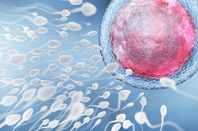 男人精子少要怎么补 三个方法增加精子数量