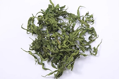 忧遁草的功效与作用 忧遁草的服用禁忌