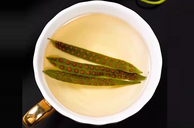 藏精茶的功效揭秘藏精茶的三大作用解析