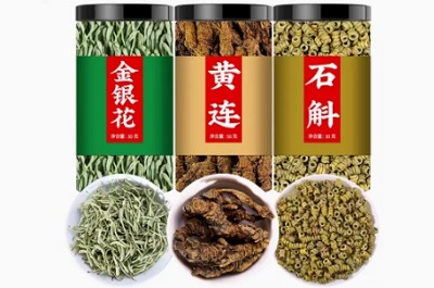 金银花黄连石斛泡水功效 金银花黄连石斛的3大作用