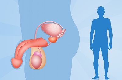 男性怎样变大变粗 男性增大的三个办法