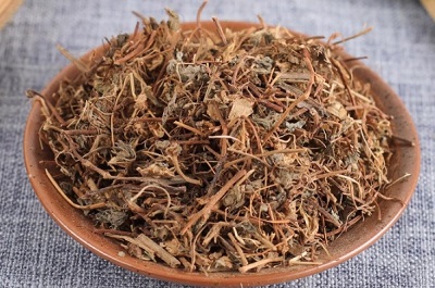 酸浆草的功效与主治 酸浆草的五大作用